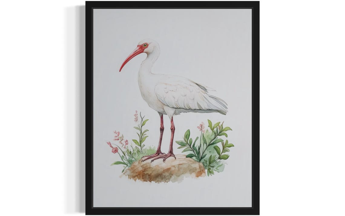 White Ibis Watercolor Bird Standing Flowers Nature Art Poster