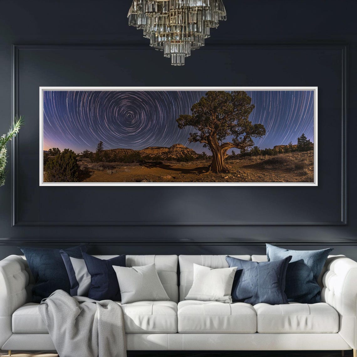 Star Trails Spiral Over Desert Tree Night Sky Long Exposure Poster - Image 4