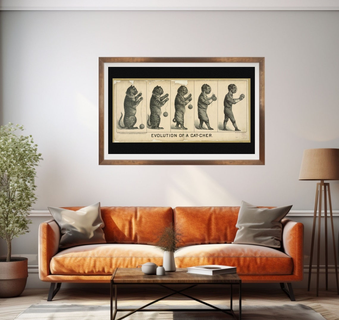 Evolution of a Cat-Cher Vintage Baseball Cats Funny Art Poster