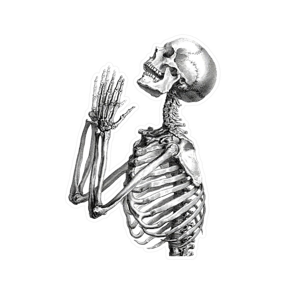 Skeleton Decal Sticker, Gothic Dark Art Poster - Image 5