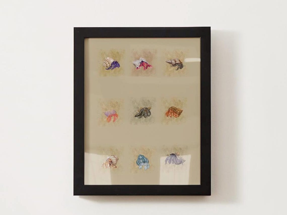 Hermit Crabs, Sea Life Art Print - Image 3