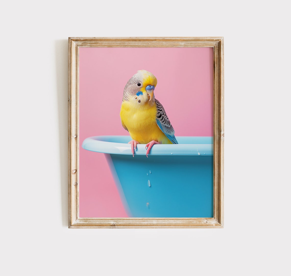 Yellow Budgie Parakeet on Blue Bathtub Pink Colorful Bird Poster