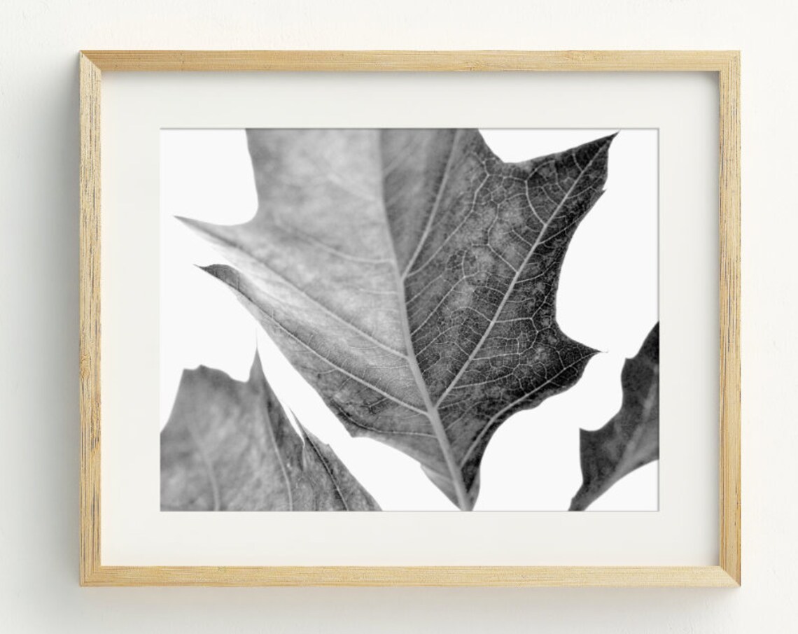 Black and White Leaves Photography Art Print