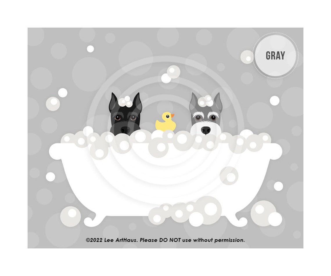 Two Schnauzers Peeking In Bubble Bath With Rubber Duck Dog Art Poster