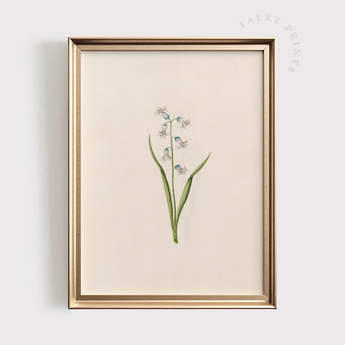 Lily Of The Valley Antique Botanical Poster
