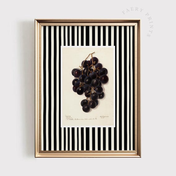 Grape Fruit Print Vintage Kitchen Wall Art Moody Black Decor Purple Grapes 1448