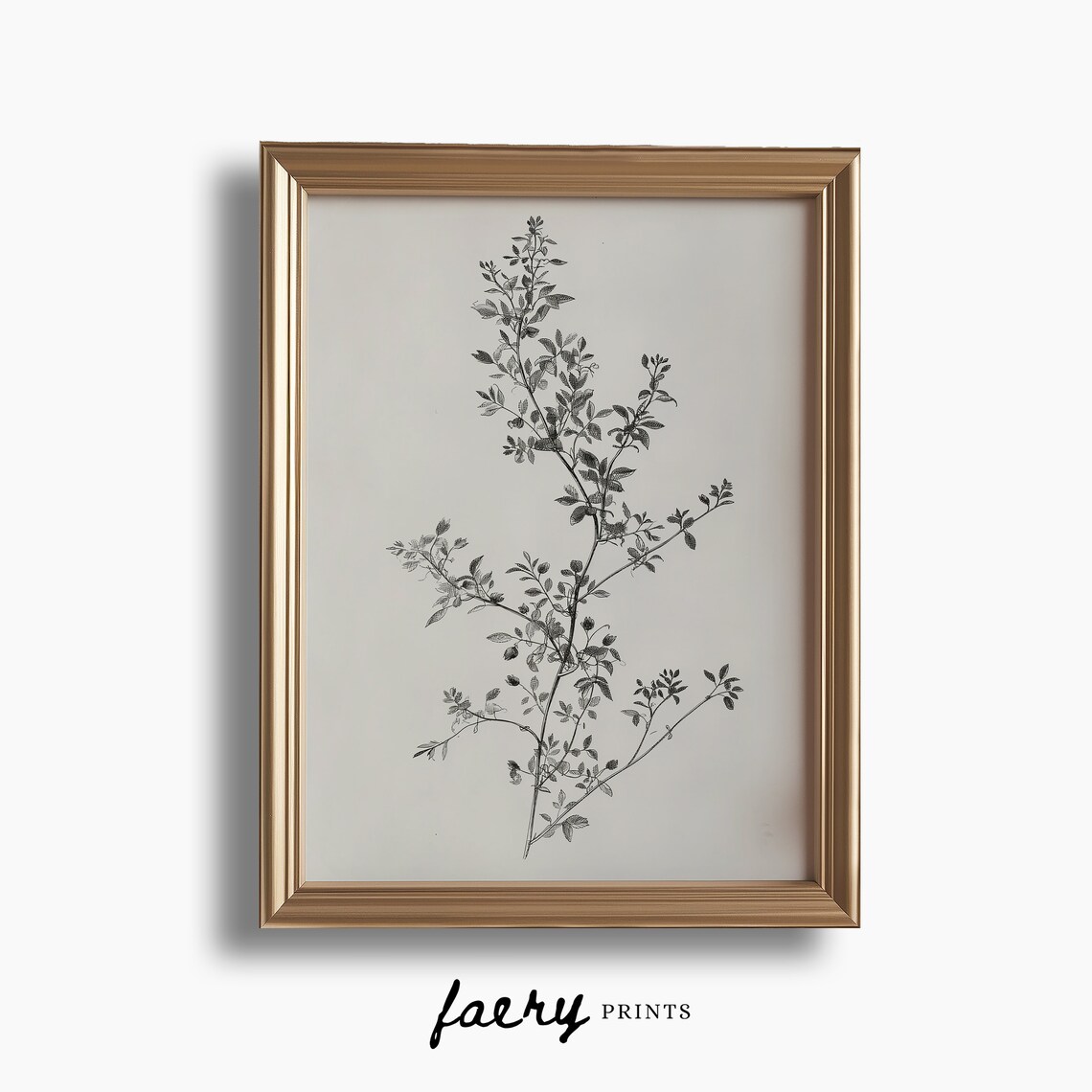 Botanical Illustration Print, Vintage Floral Sketch