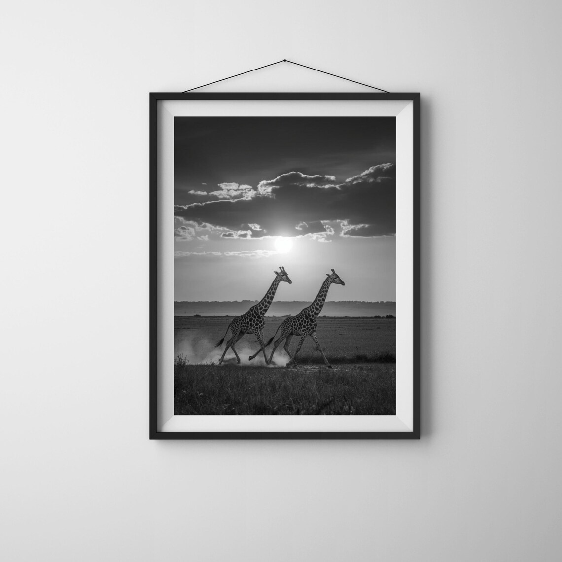 Running Giraffes Sunset Savanna Black White Wildlife Photo Print