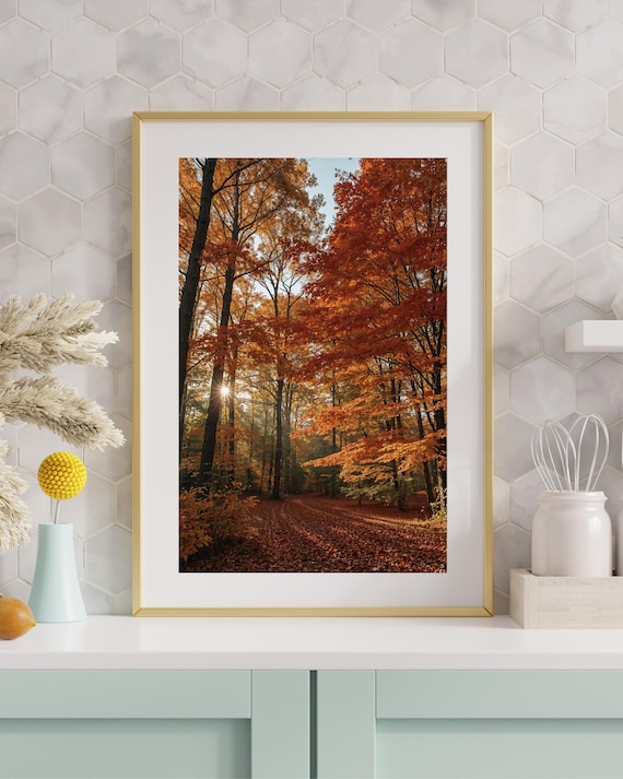 Autumn Forest Road Sunlit Orange Trees Fall Landscape Photo Poster