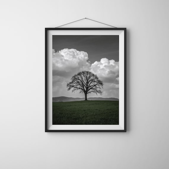 Minimalist Black and White Tree Art Print