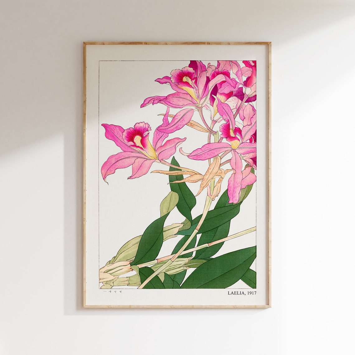 Laelia 1917 Vintage Pink Orchid Botanical Japanese Art Poster - Image 2