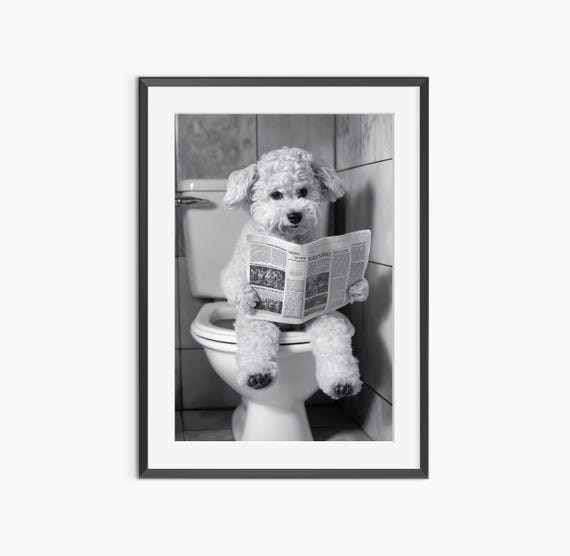 Dog Print Photography Prints Funny Poster Nursery Bathroom Black And White Wall Art Museum Quality