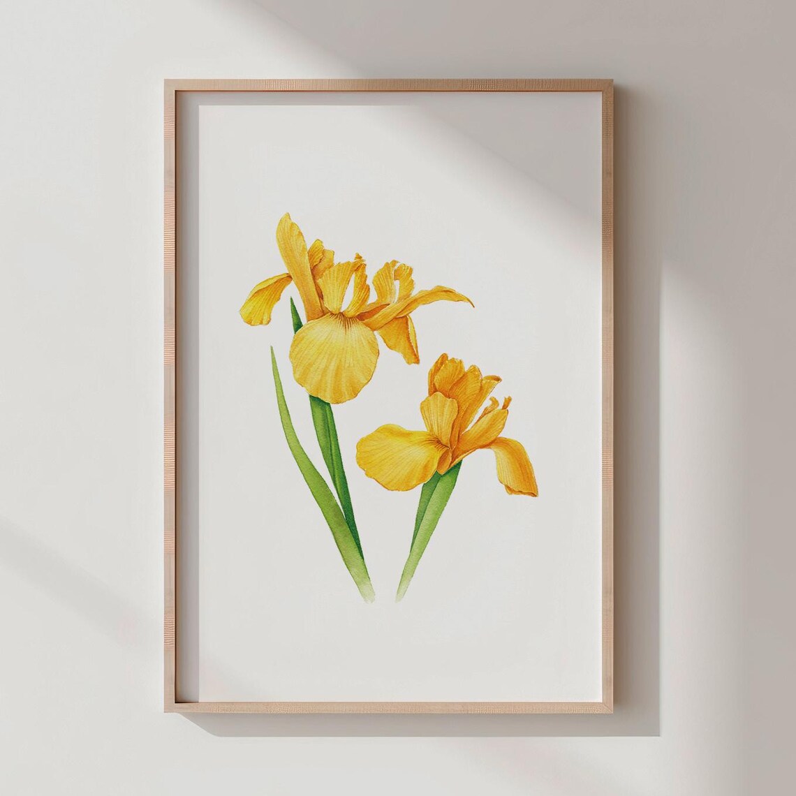 Golden Yellow Iris Flowers Pair Watercolor Botanical Art Poster