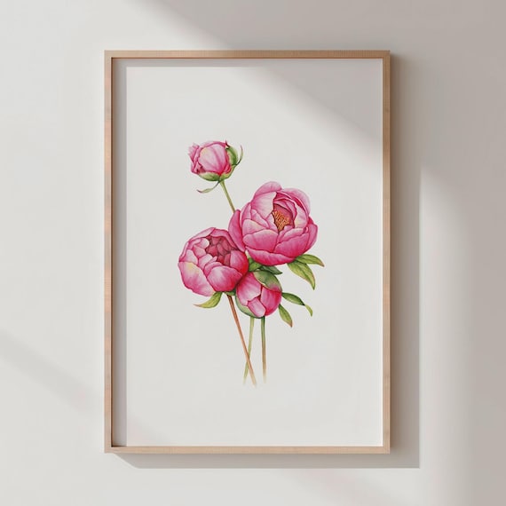 Pink Peony Watercolor Botanical Flower Print for Elegant Home Decor