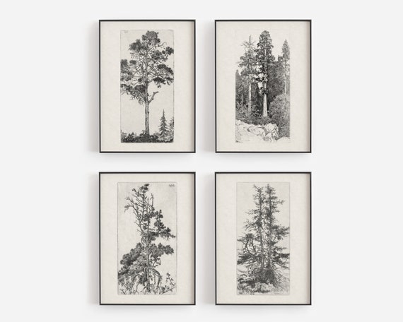 Tree Study Collection, Nature and Forest Art Print