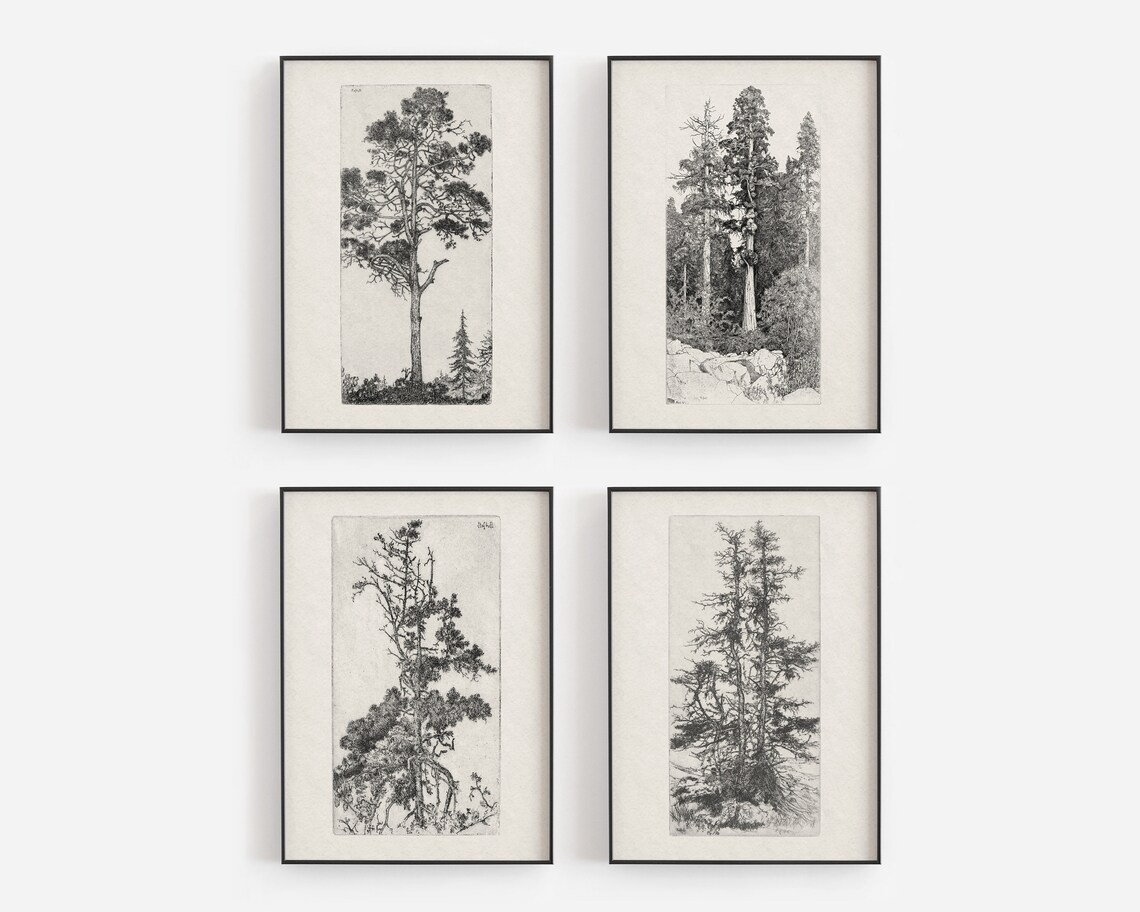Tree Study Collection, Nature and Forest Art Print