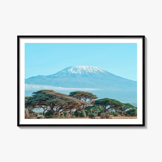 Mount Kilimanjaro Snow Capped Peak Acacia Trees Africa Poster