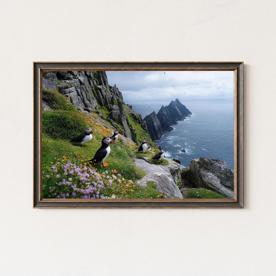 Puffin Photography Print, Skellig Michael Coastal Art