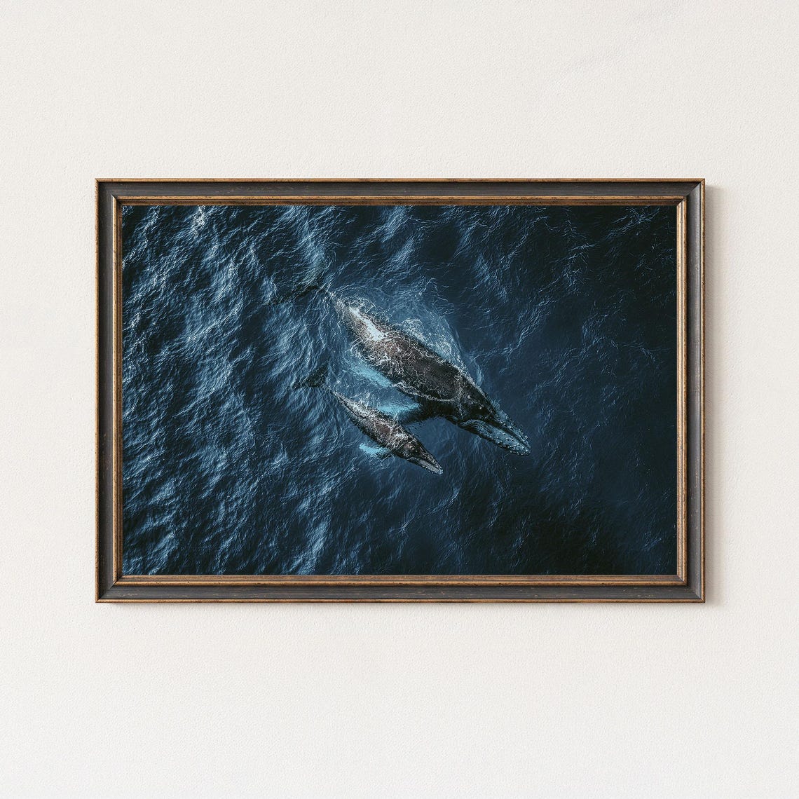 Aerial Whale Mother And Calf Deep Blue Ocean Photography Poster