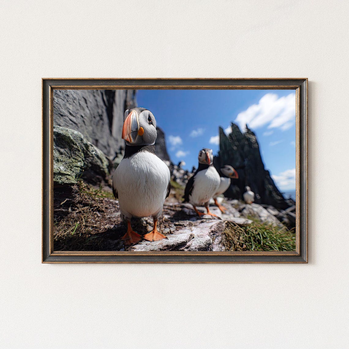 Puffin Seabirds Rocky Island Cliffs Funny Wildlife Photo Poster