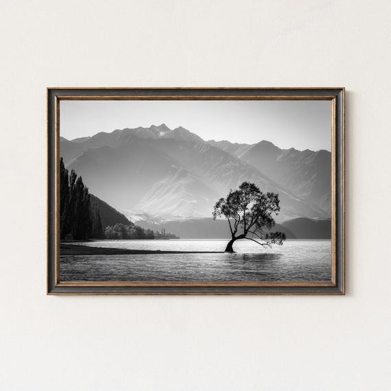 Lone Tree Wanaka Black And White Photography Print
