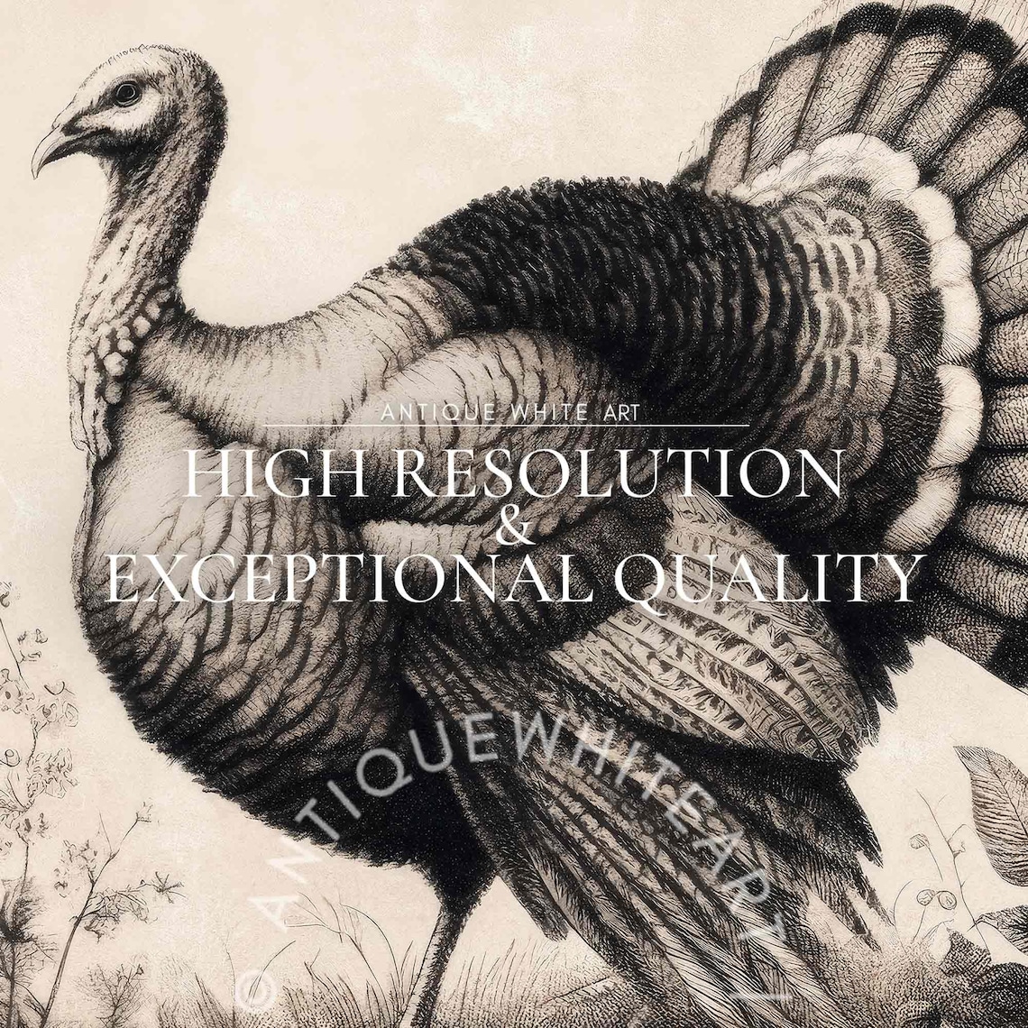 Thanksgiving Turkey Painting, Farmhouse Art Print - Image 3