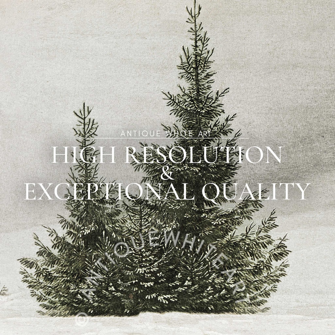 Vintage Winter Pine Trees Art Print, Farmhouse Christmas - Image 5