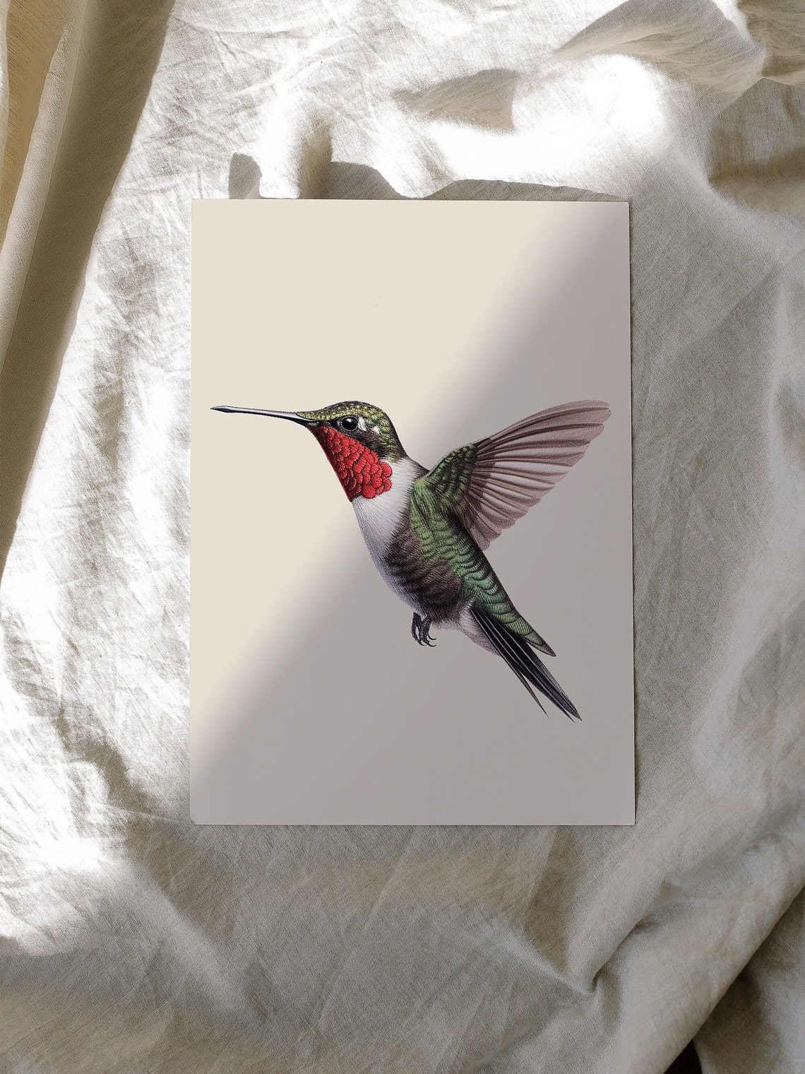 Ruby Throated Hummingbird Print Minimal Animal Art Exotic Bird Nature Drawing Nursery Wall Decoration Small Cute Bird - Image 2