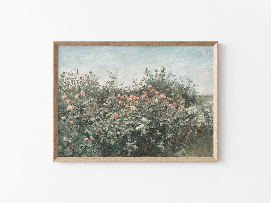 Pink Wild Roses Blooming Garden Bushes Vintage Botanical Flower Poster