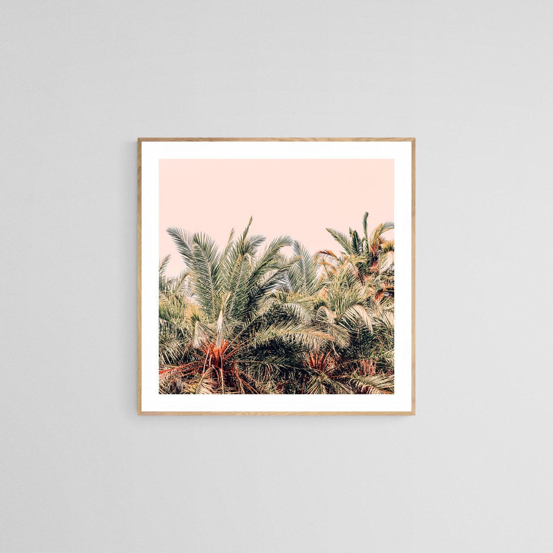 Palm Tree Nature Photograph, Tropical Art Print