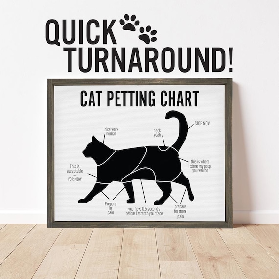Cat Petting Chart Funny Black Cat Silhouette Humor Cat Lover Poster