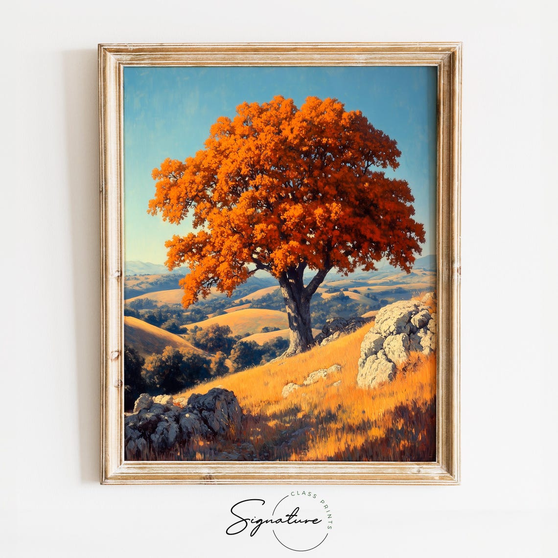 Lone Orange Oak Rocky Hillside Autumn Rolling Hills Blue Sky Poster