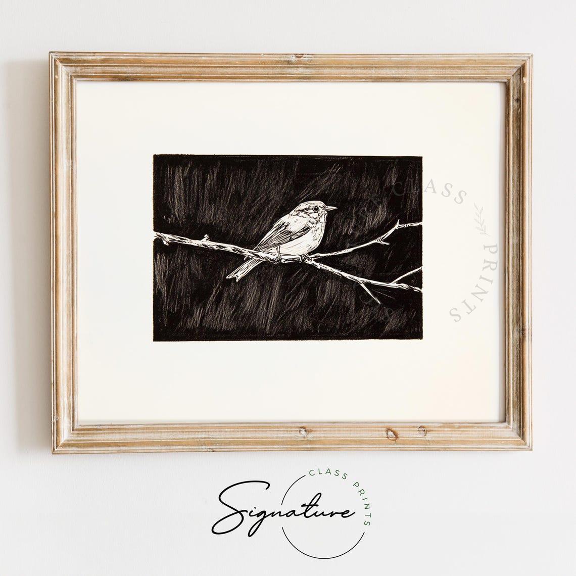 White Songbird On Branch Black Background Scratchboard Style Poster