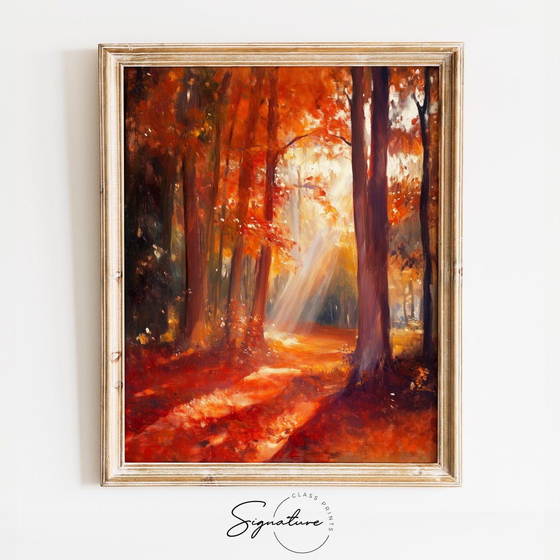 Golden Sunlight Autumn Forest Tall Trees Fall Foliage Poster