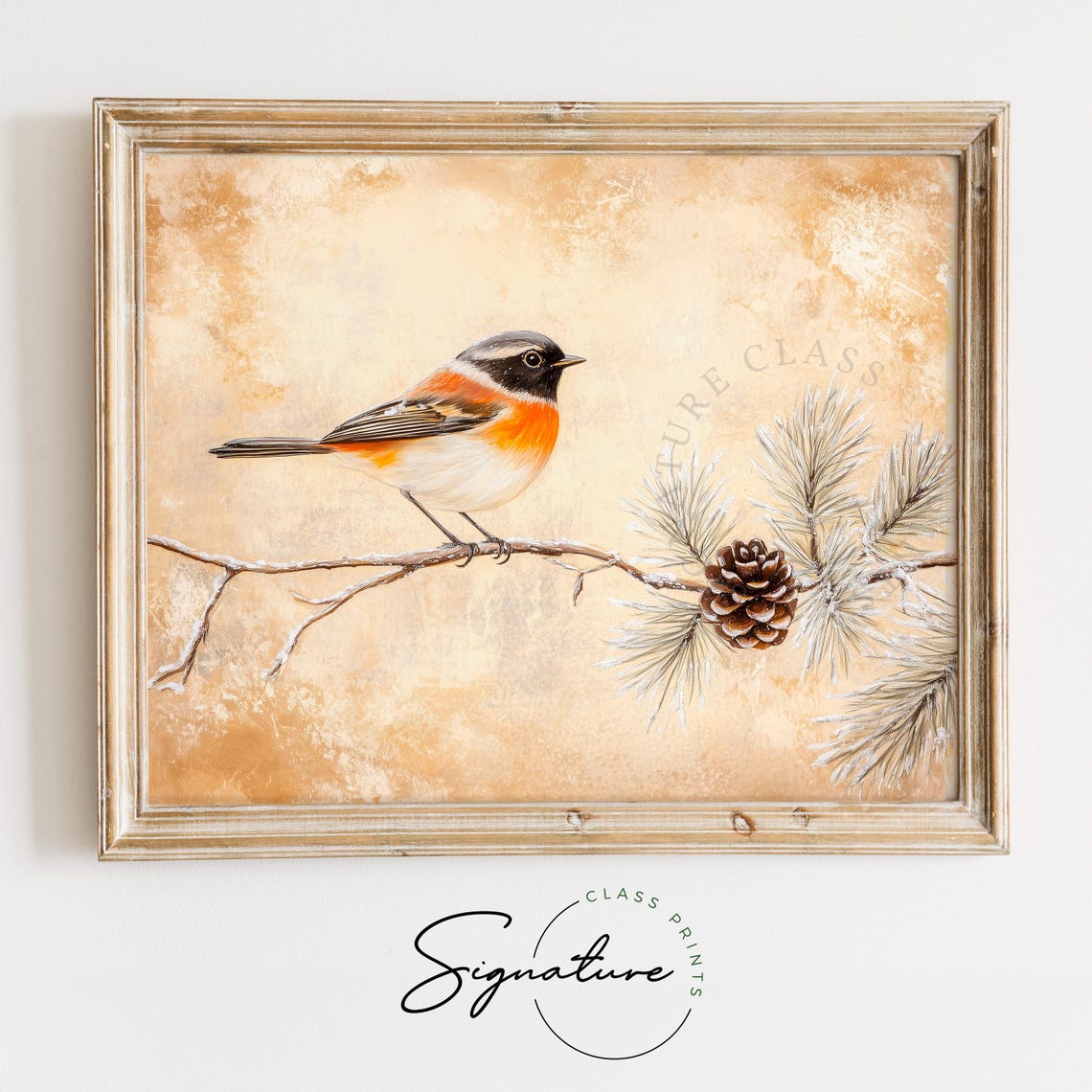 Common Redstart on Frosty Pine Branch Winter Bird Painting Poster