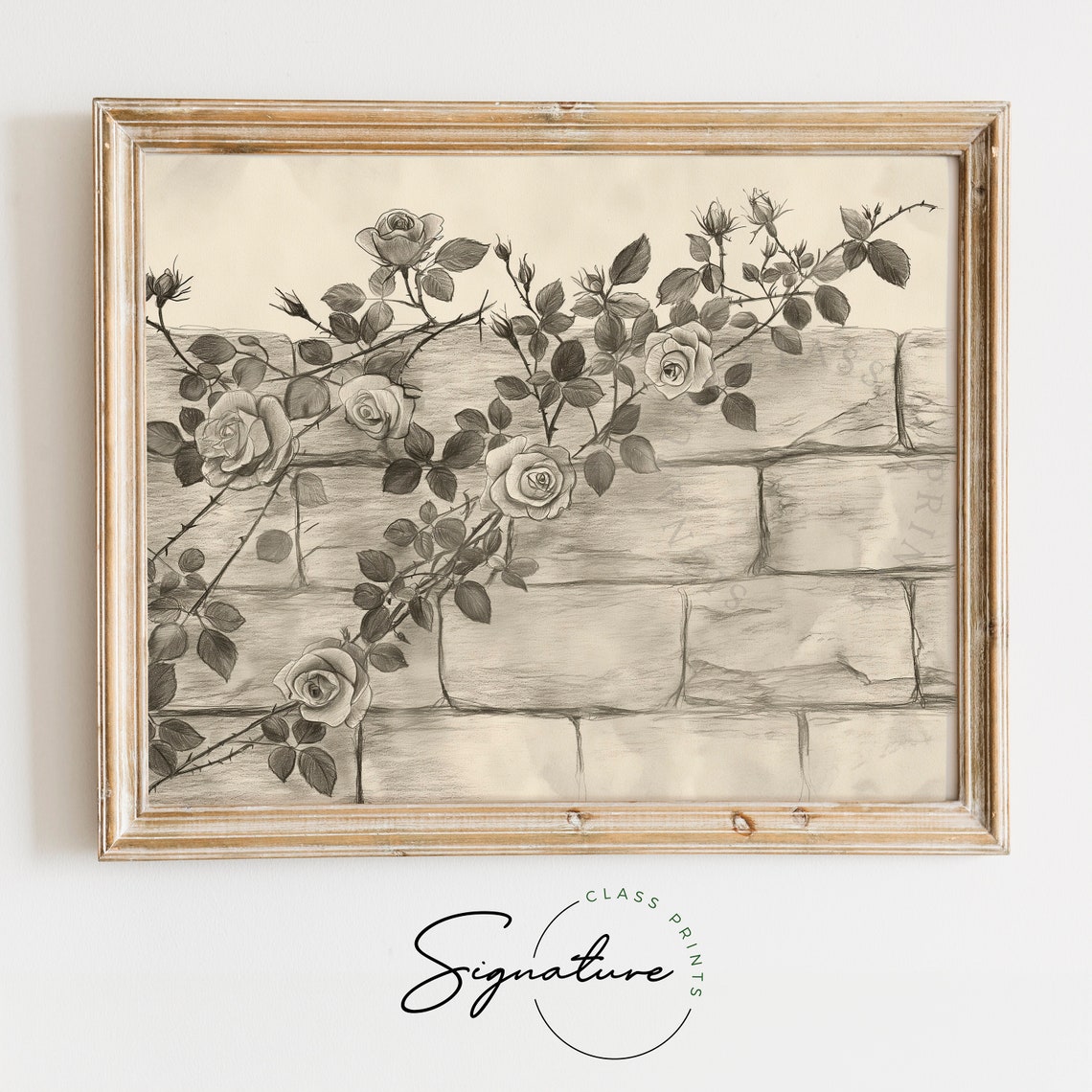 Climbing Roses on Brick Wall Pencil Sketch Vintage Botanical Poster