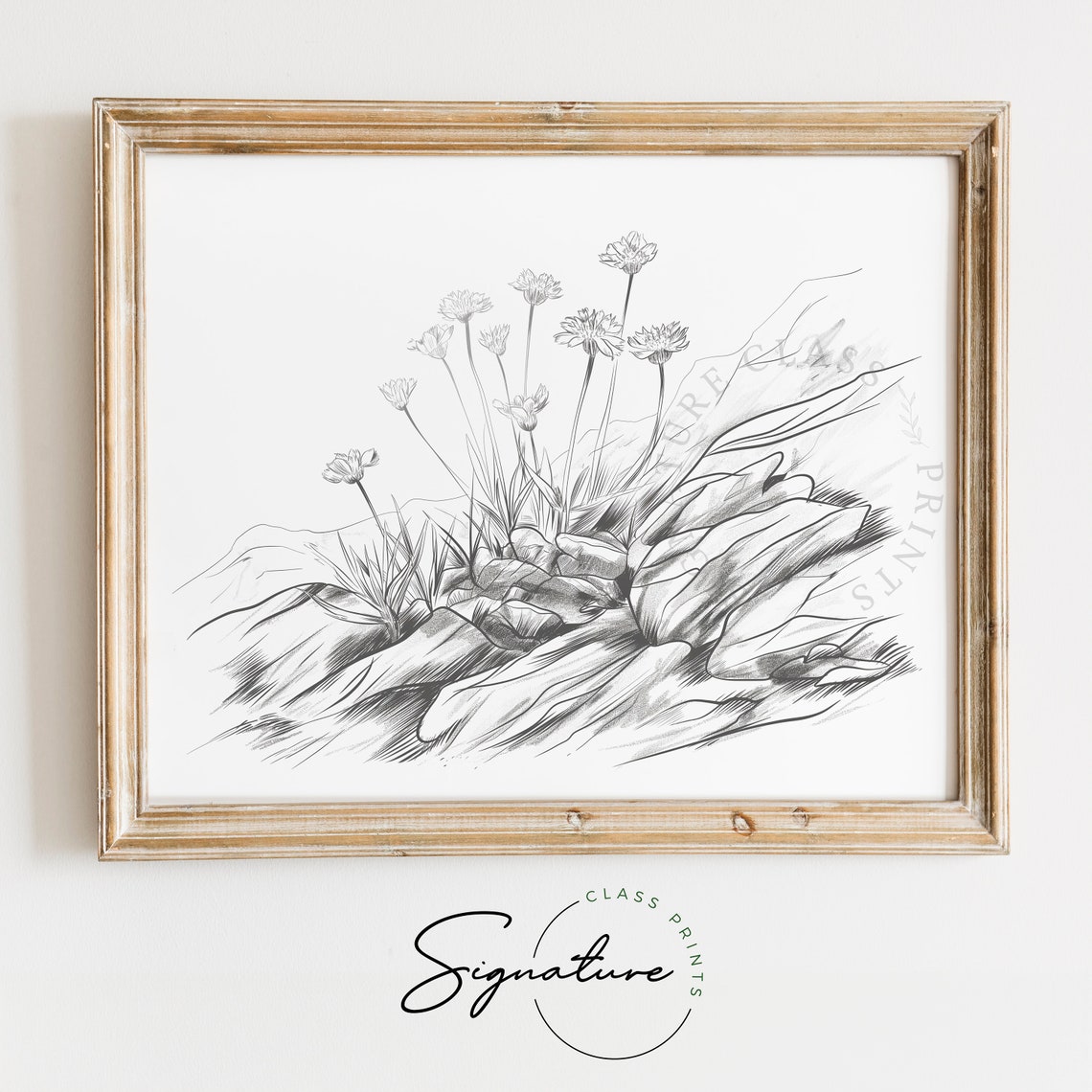 Wildflowers Among Rocks Pencil Sketch Minimalist Botanical Poster