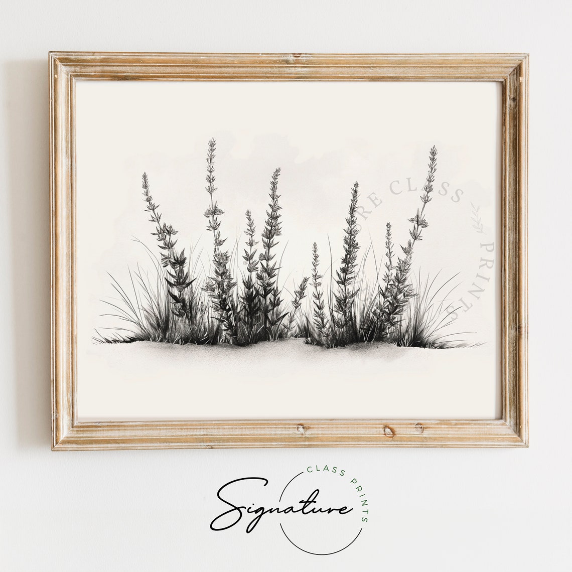 Wild Heather Minimalist Black And White Botanical Sketch Poster
