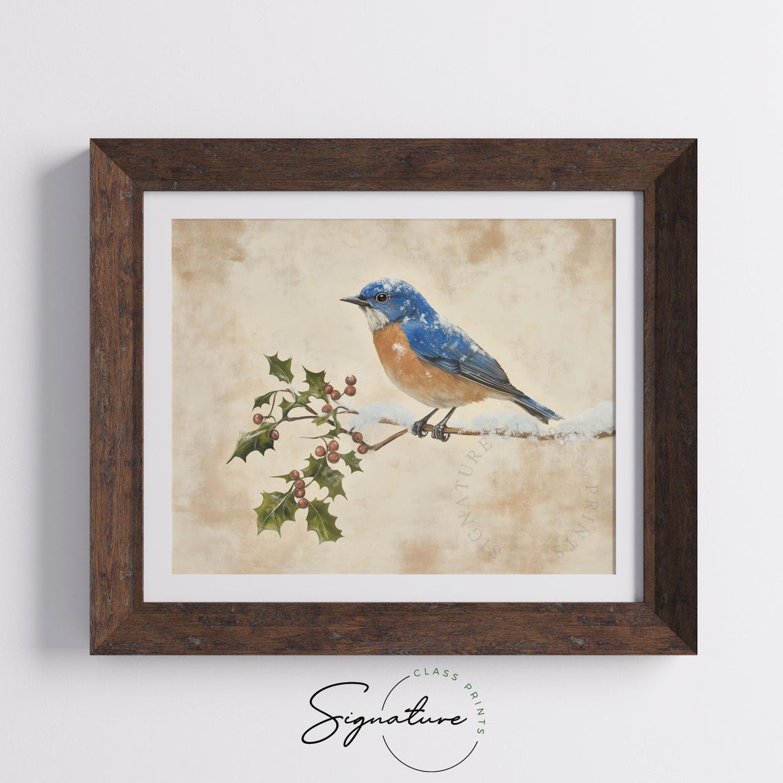 Western Bluebird on Snowy Branch With Red Holly Berries Poster - Image 4