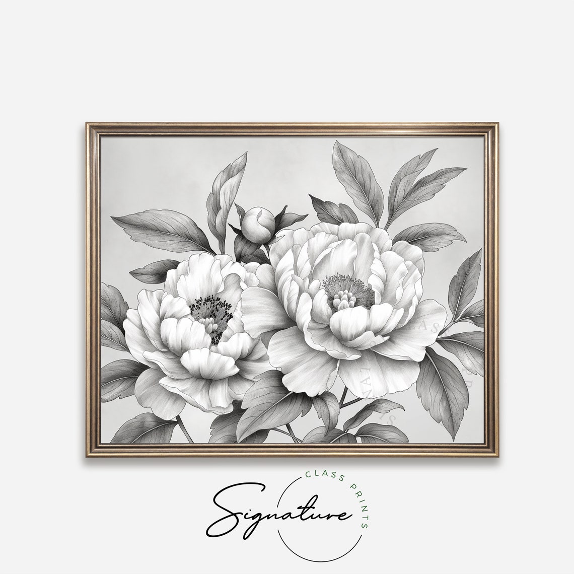 Peonies In Full Bloom Detailed Gray Pencil Botanical Sketch Poster - Image 4