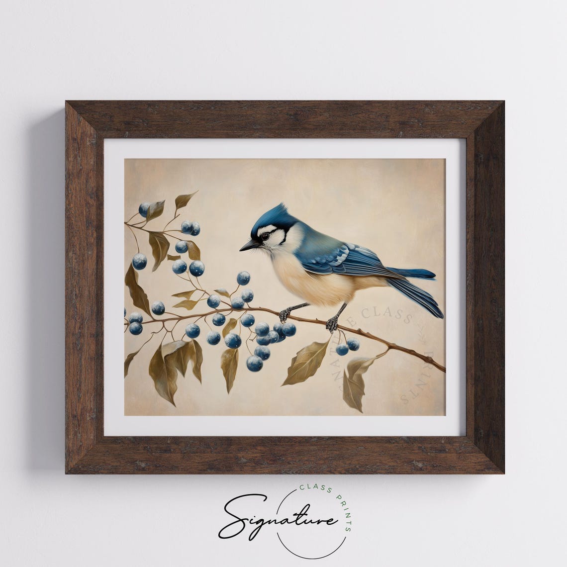 Vivid Blue Jay With Frosty Blue Berries Rustic Winter Bird Poster - Image 4