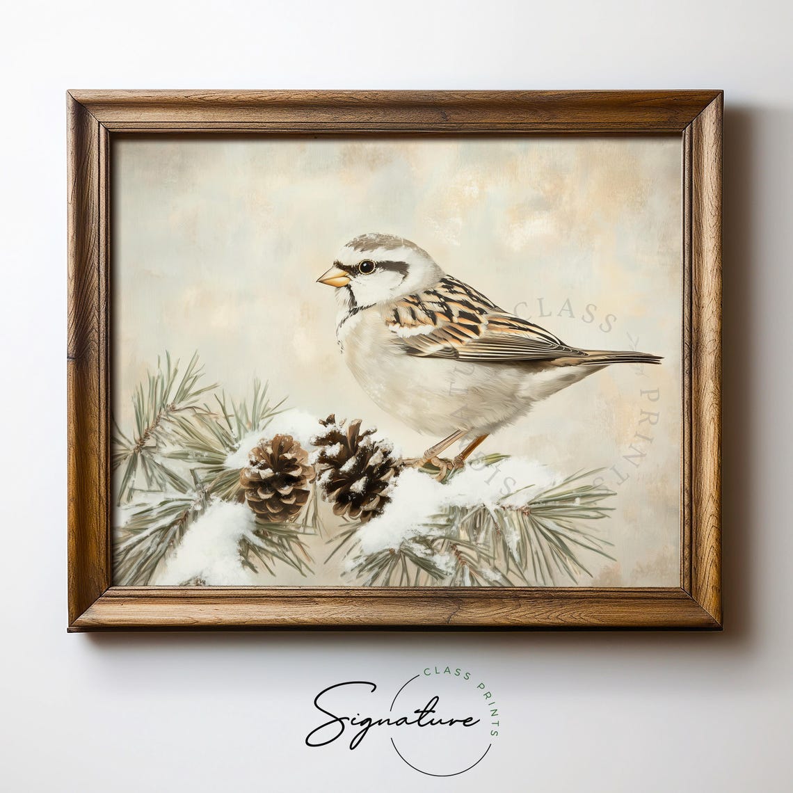 White Crowned Sparrow on Snowy Pine Branch Vintage Bird Art Poster - Image 5