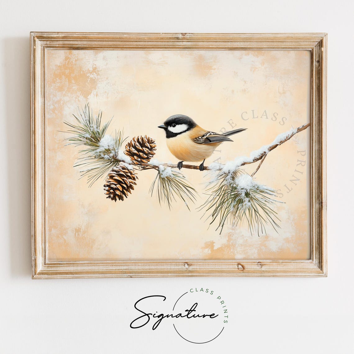 Carolina Chickadee on Snowy Pine Branch Pinecones Bird Poster