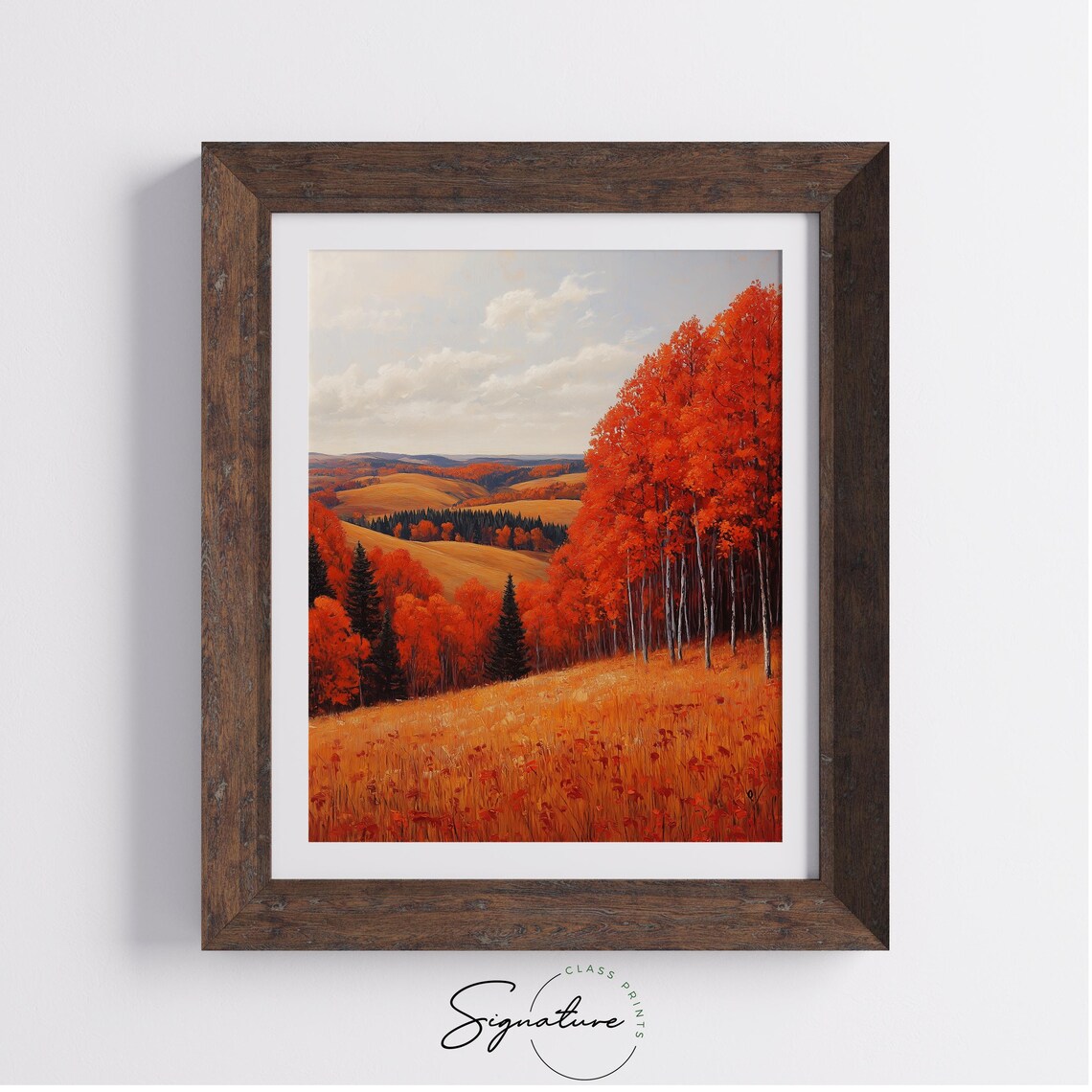 Scarlet Birch Grove on Rolling Golden Hills in Peak Autumn Color Wall Art - Image 4