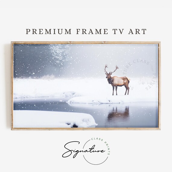 Elk Standing by Frozen Pond Falling Snow Winter Wildlife Poster