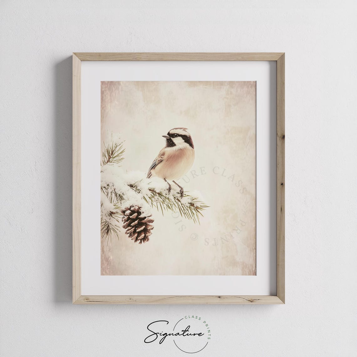 Snowy Chickadee Perched on Frosted Pine Branch Winter Bird Art Poster - Image 2