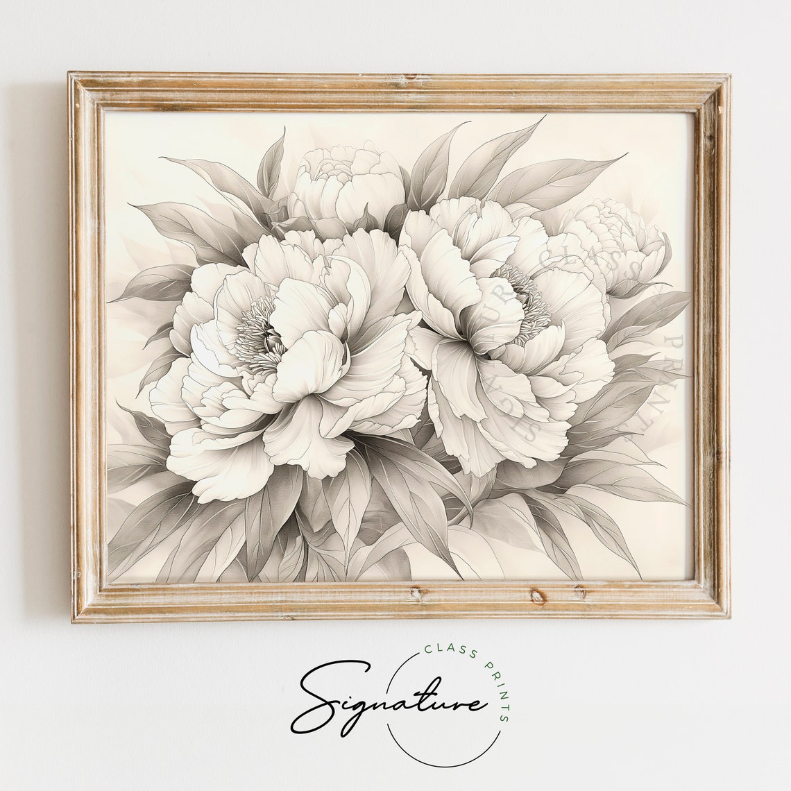 Peony Bouquet Soft Grayscale Elegant Botanical Floral Sketch Poster