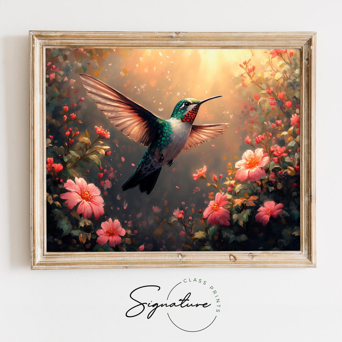 Ruby Throated Hummingbird In Blooming Garden Golden Light Poster