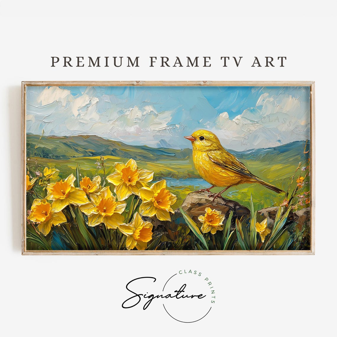 Yellow Finch Among Bright Daffodils Rolling Green Hills Poster