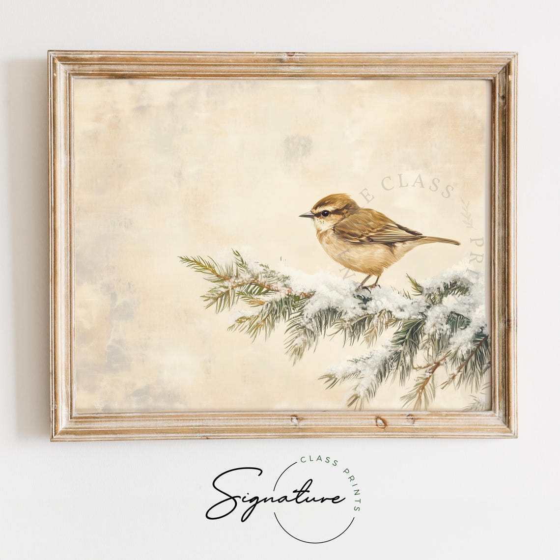Sweet Goldcrest On Snowy Fir Branch Rustic Winter Bird Art Poster